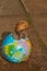 A snail on a small globe on the background of asphalt.