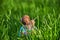 A snail on a small globe in the thick green grass.