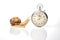 Snail and stopwatch on a white background. Concept speed. Measuring time in a distance. Finish in a competition in sports.