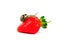 Snail streaking towards red fresh strawberry isolated on white. Selective focus. Modern beauty, alternative medicine or food