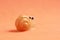 Snail toy isolated on smooth orange background