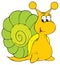 Snail (vector clip-art)