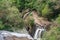 Snail waterfall and national park in Canela Brazil