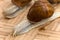 Snail on the wooden background