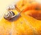 Snails and Pumpkins