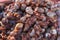 Snails with spicy tomate sauce for sale at a market stall