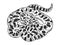 Snake anaconda animal sketch vector illustration