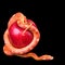 Snake with apple