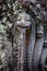 Snake biting its tail, stone carving at Vat Phou temple complex, Champasak province, Laos