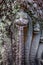 Snake biting its tail, stone carving at Vat Phou temple complex, Champasak province, Laos