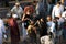 Snake charmer at famous Marrakesh square Djemaa el Fna