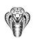 snake cobra face icon black illustration. The emblem with king cobra for a sport team.