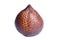 Snake Fruit from Salak Palm