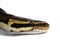 Snake Head Ball Python Head on white background 1