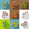 Snake icons set, flat style
