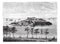 Snake Island in the Bay of Rio Janeiro. - Drawing Tirpenne, vintage engraving