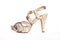 Snake leather high-heeled women`s shoe on a white background