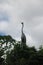 Snake neck bird in Madidi Park. Beni region, Pampas de Yacuma, Bolivia