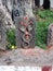 Snake scupture in stone by the sacred tree in India