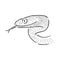 Snake sketch, snake, vector sketch illustration wild animal