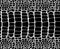 Snake skin pattern texture repeating seamless monochrome black & white. Vector