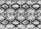 Snake skin pattern texture repeating seamless monochrome black & white. Vector