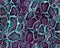 Snake skin pattern texture repeating seamless Texture snake. Fashionable print. Ready for textile prints.