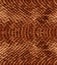 Snake skin pattern texture repeating seamless. Vector. Texture snake.