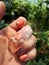 Snake skin remaining after molting. skin of a snake in the hands of a woman