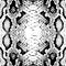 Snake skin scales texture. Seamless pattern black  on white background. simple ornament, Can be used for Gift wrap,