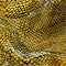 Snake skin texture background . Watercolor painting