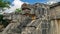 Snake stone head in the Yucatan jungle