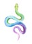 Snake. Watercolor multicolored hand-drawn illustration. Isolated object on a white background. Perfect for your design