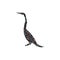 Snakebird anhinga bird spiral pattern color silhouette animal