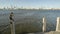 Snakebird on Swan River jetty