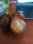 Snakefruit on the office table