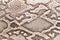 Snakeskin pattern on genuine leather close-up, imitation of exotic reptile, surface of beige brown color, trendy