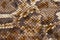 Snakeskin pattern on genuine leather close-up, imitation of exotic reptile, surface of bright brown color