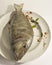 Snapper being prepared to cook on a white background