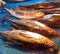 Snapper fish sell at the traditional market