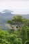 Snapper Island, Daintree