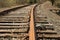 Snapping Turtle Desperately trying to cross train tracks.