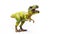 Snarling green Tyrannosaurus a huge reptile from the Jurassic period, a children`s toy