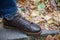 Sneakers and background of yellow leaves, autumn concept. Top view of shoes and fall season