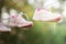 Sneakers dried on a rope in the summer garden