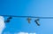 Sneakers hang on wires against blue sky