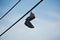 Sneakers hanging from a telephone wire