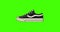 sneakers on an isolated green background