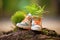 sneakers with small plants growing out, symbolic for ecotravel