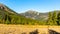 Snezka - the highest mountain of Czech Republic. View from valley. Giant Mountains, Krkonose National Park